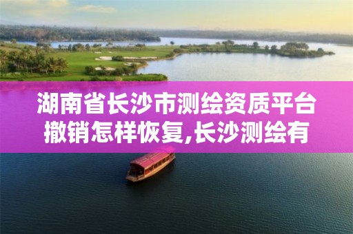 湖南省长沙市测绘资质平台撤销怎样恢复,长沙测绘有限公司怎么样