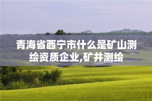 青海省西宁市什么是矿山测绘资质企业,矿井测绘