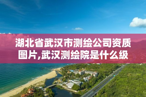 湖北省武汉市测绘公司资质图片,武汉测绘院是什么级别