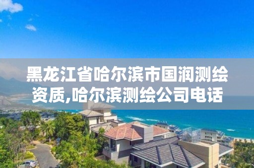 黑龙江省哈尔滨市国润测绘资质,哈尔滨测绘公司电话。