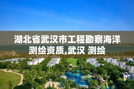 湖北省武汉市工程勘察海洋测绘资质,武汉 测绘