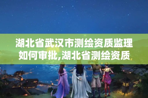 湖北省武汉市测绘资质监理如何审批,湖北省测绘资质管理系统