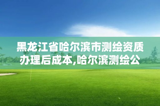 黑龙江省哈尔滨市测绘资质办理后成本,哈尔滨测绘公司电话