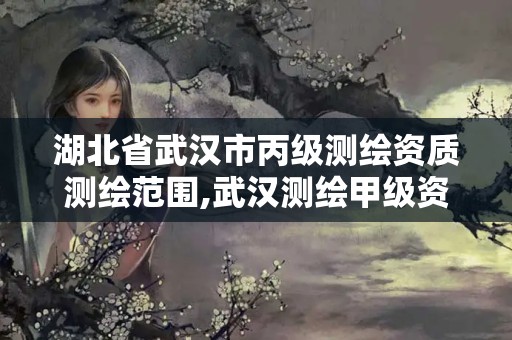 湖北省武汉市丙级测绘资质测绘范围,武汉测绘甲级资质公司