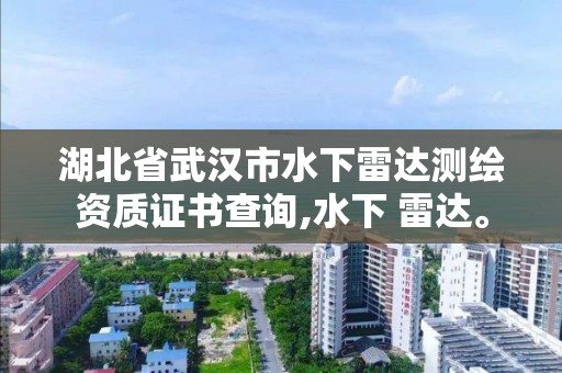 湖北省武汉市水下雷达测绘资质证书查询,水下 雷达。