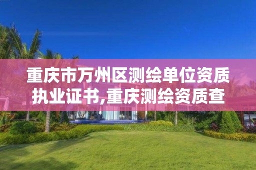 重庆市万州区测绘单位资质执业证书,重庆测绘资质查询