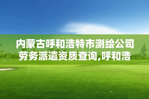 内蒙古呼和浩特市测绘公司劳务派遣资质查询,呼和浩特市工程测量招聘信息