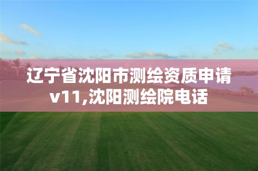 辽宁省沈阳市测绘资质申请v11,沈阳测绘院电话