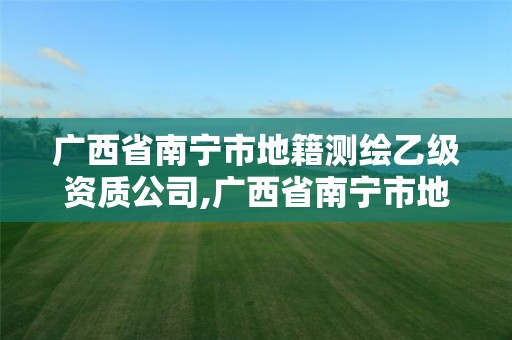 广西省南宁市地籍测绘乙级资质公司,广西省南宁市地籍测绘乙级资质公司有哪些。