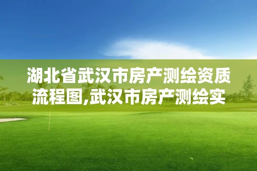 湖北省武汉市房产测绘资质流程图,武汉市房产测绘实施细则