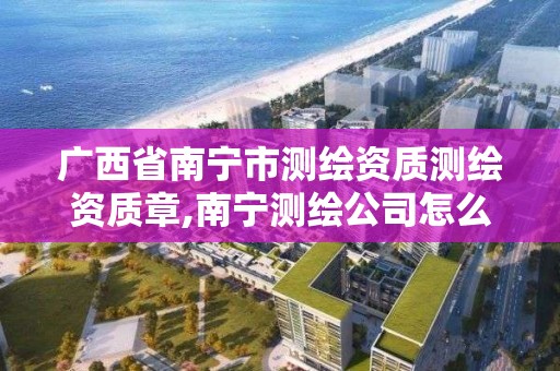 广西省南宁市测绘资质测绘资质章,南宁测绘公司怎么收费标准