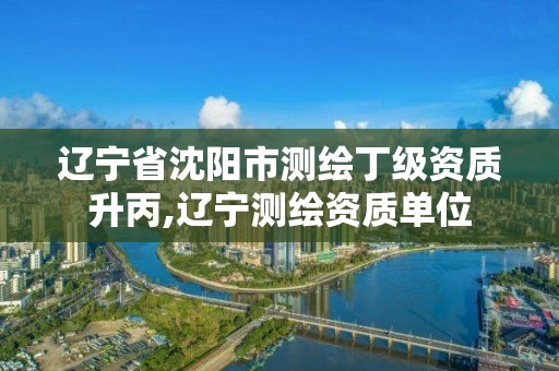 辽宁省沈阳市测绘丁级资质升丙,辽宁测绘资质单位