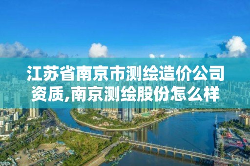 江苏省南京市测绘造价公司资质,南京测绘股份怎么样