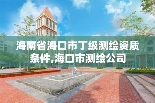 海南省海口市丁级测绘资质条件,海口市测绘公司