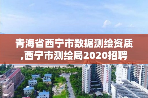 青海省西宁市数据测绘资质,西宁市测绘局2020招聘