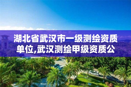 湖北省武汉市一级测绘资质单位,武汉测绘甲级资质公司