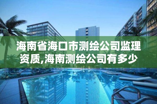 海南省海口市测绘公司监理资质,海南测绘公司有多少家