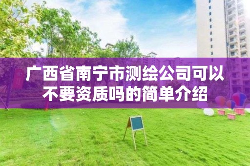 广西省南宁市测绘公司可以不要资质吗的简单介绍