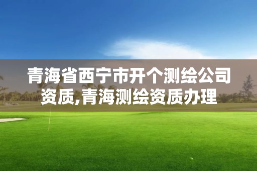 青海省西宁市开个测绘公司资质,青海测绘资质办理