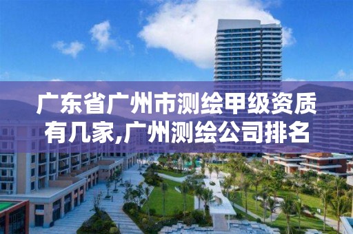 广东省广州市测绘甲级资质有几家,广州测绘公司排名名单