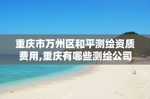 重庆市万州区和平测绘资质费用,重庆有哪些测绘公司