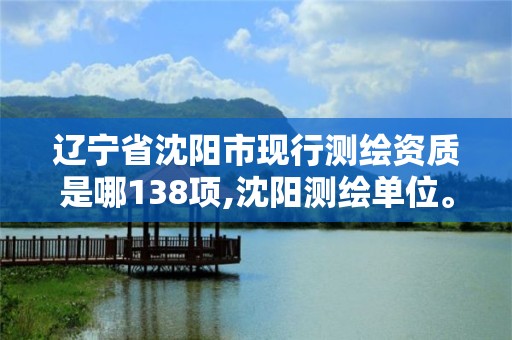 辽宁省沈阳市现行测绘资质是哪138项,沈阳测绘单位。