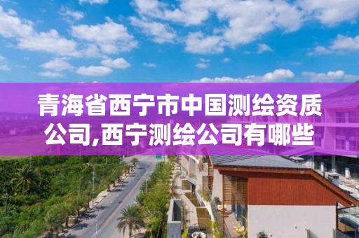 青海省西宁市中国测绘资质公司,西宁测绘公司有哪些