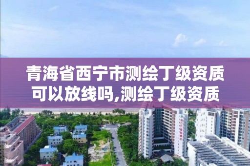 青海省西宁市测绘丁级资质可以放线吗,测绘丁级资质可以承揽业务范围。