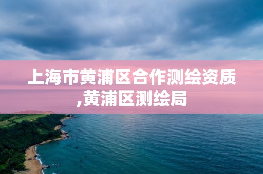 上海市黄浦区合作测绘资质,黄浦区测绘局