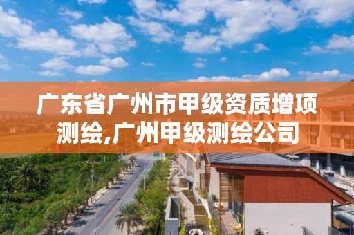 广东省广州市甲级资质增项测绘,广州甲级测绘公司