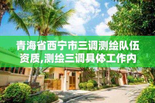 青海省西宁市三调测绘队伍资质,测绘三调具体工作内容。