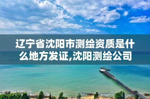 辽宁省沈阳市测绘资质是什么地方发证,沈阳测绘公司招聘信息最新招聘。