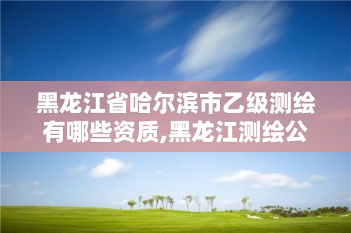 黑龙江省哈尔滨市乙级测绘有哪些资质,黑龙江测绘公司乙级资质