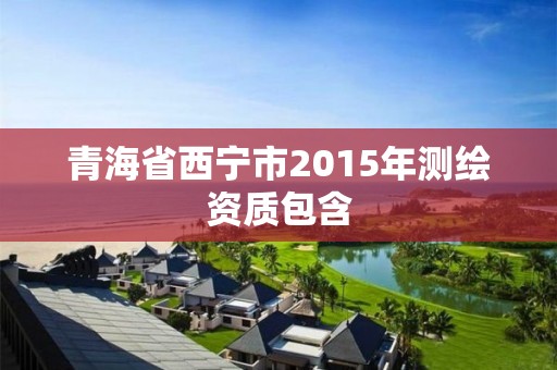 青海省西宁市2015年测绘资质包含