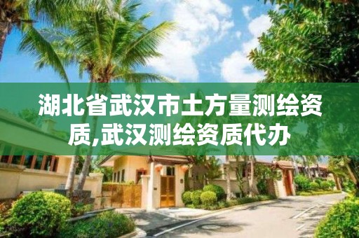 湖北省武汉市土方量测绘资质,武汉测绘资质代办