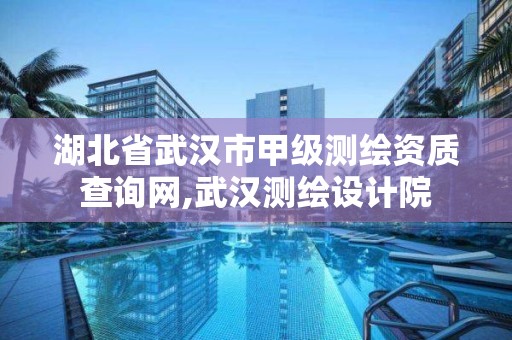 湖北省武汉市甲级测绘资质查询网,武汉测绘设计院