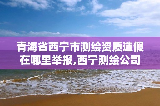 青海省西宁市测绘资质造假在哪里举报,西宁测绘公司联系方式。