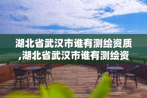 湖北省武汉市谁有测绘资质,湖北省武汉市谁有测绘资质的