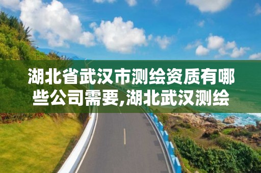 湖北省武汉市测绘资质有哪些公司需要,湖北武汉测绘公司排行榜