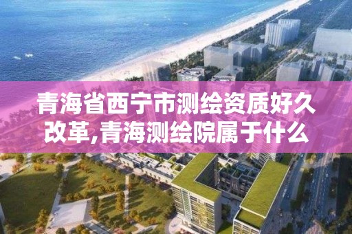 青海省西宁市测绘资质好久改革,青海测绘院属于什么单位