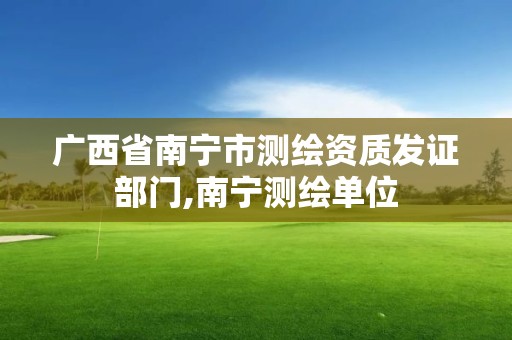 广西省南宁市测绘资质发证部门,南宁测绘单位