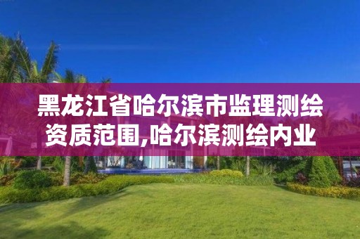 黑龙江省哈尔滨市监理测绘资质范围,哈尔滨测绘内业招聘信息