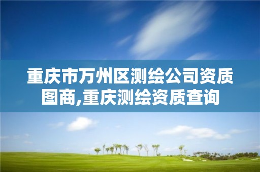 重庆市万州区测绘公司资质图商,重庆测绘资质查询