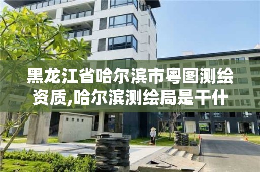 黑龙江省哈尔滨市粤图测绘资质,哈尔滨测绘局是干什么的