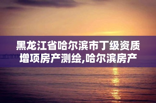 黑龙江省哈尔滨市丁级资质增项房产测绘,哈尔滨房产测绘公司