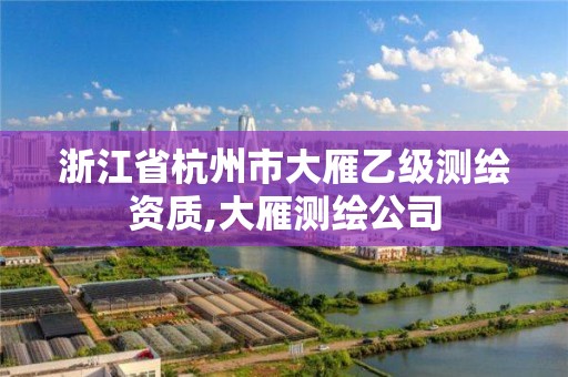 浙江省杭州市大雁乙级测绘资质,大雁测绘公司