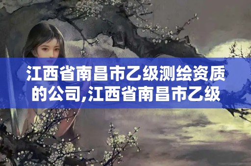 江西省南昌市乙级测绘资质的公司,江西省南昌市乙级测绘资质的公司有哪些