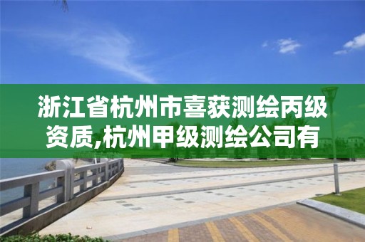 浙江省杭州市喜获测绘丙级资质,杭州甲级测绘公司有哪些