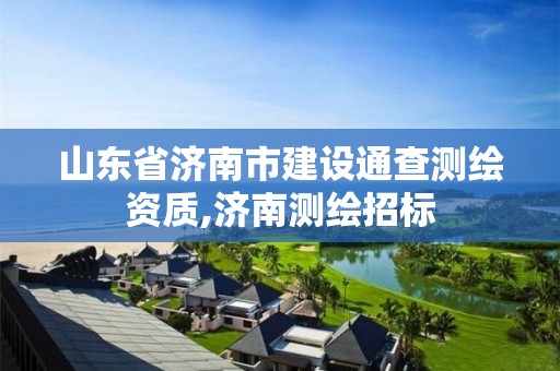 山东省济南市建设通查测绘资质,济南测绘招标