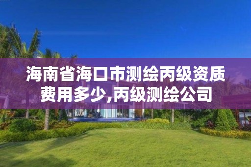 海南省海口市测绘丙级资质费用多少,丙级测绘公司